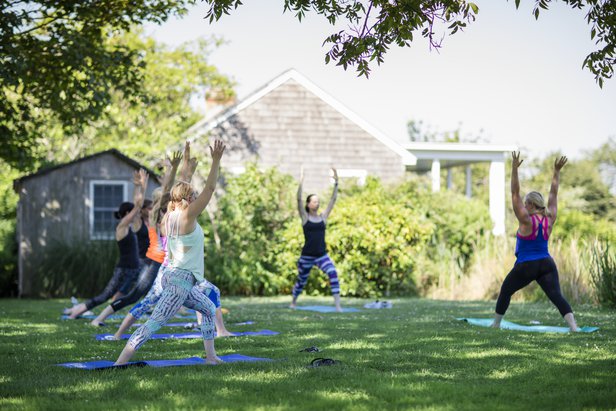 Yoga in the Vines
