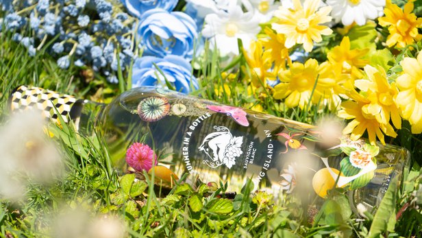 Sauv Blanc