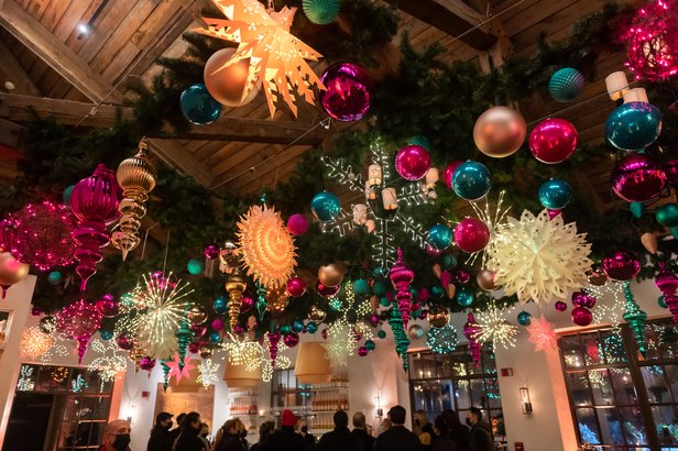 Lighting of the Vines Holiday Decor