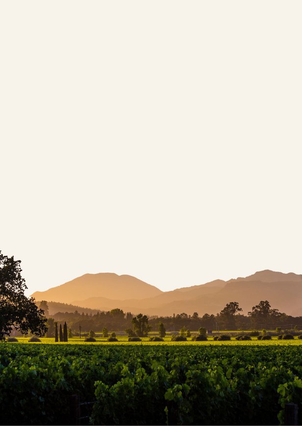 Napa Valley